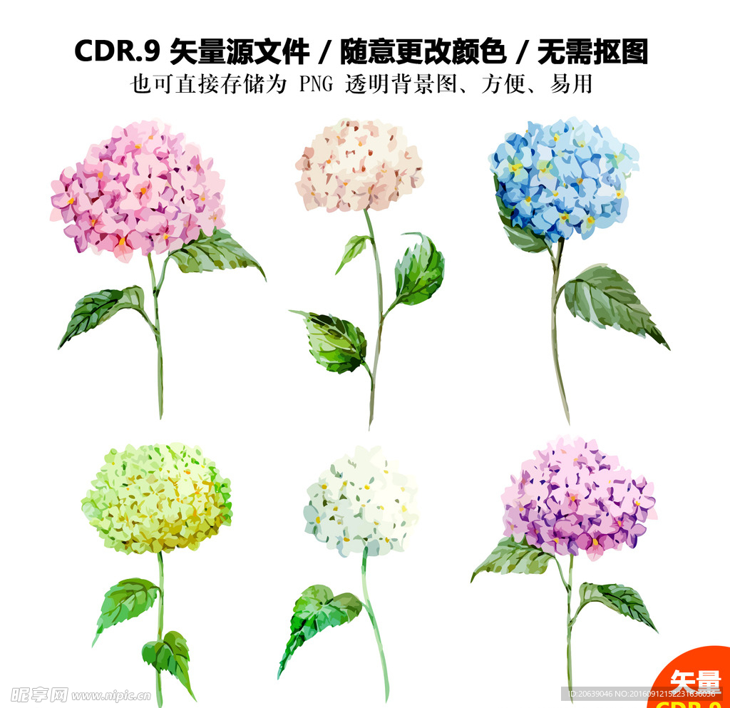 手绘卡通鲜花绣球花矢量图