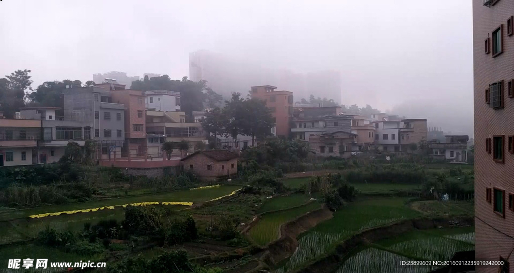 清晨雾气延时摄影