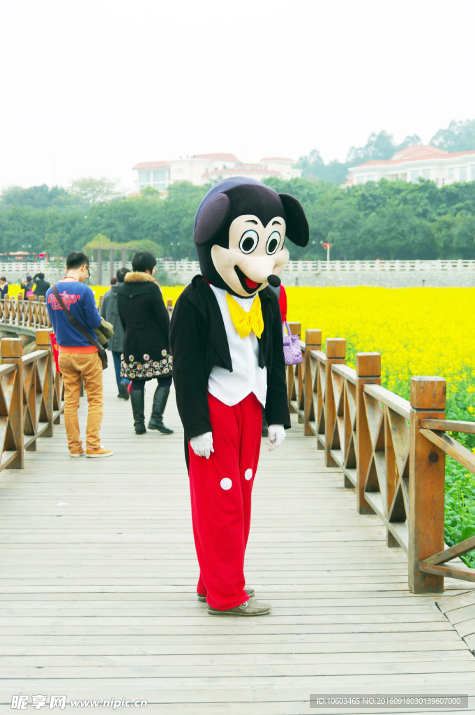 田园米奇 米奇小丑