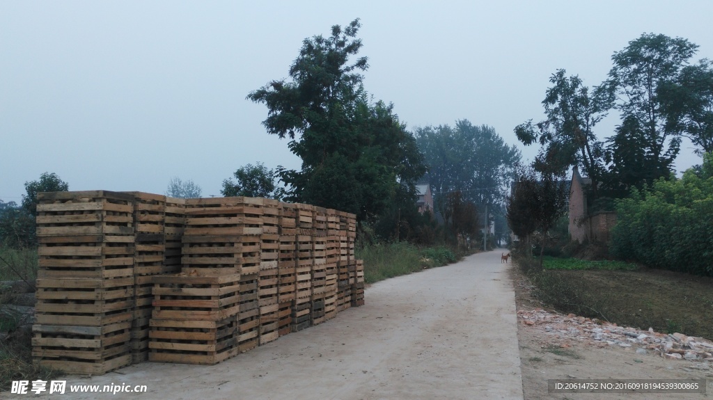 等待售卖的猕猴桃