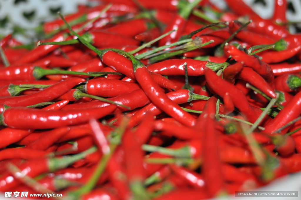 红辣椒