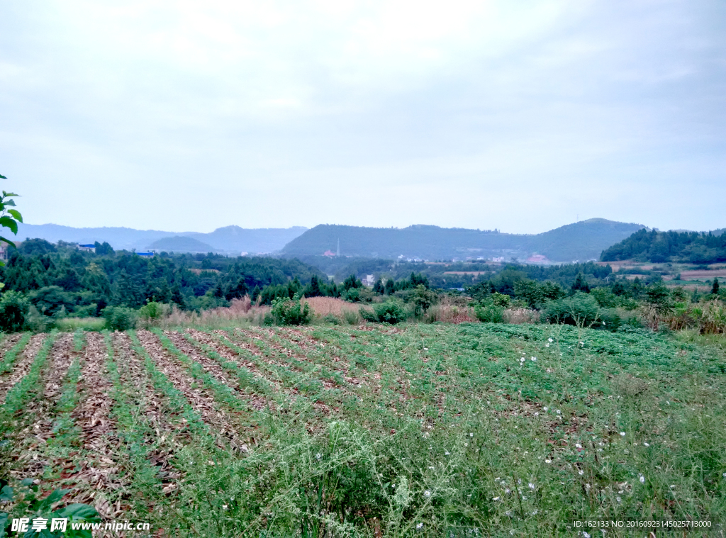 乡村田园风光摄影