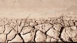 干涸龟裂的土地