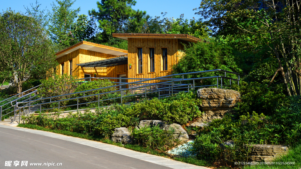 绿树丛中一点黄