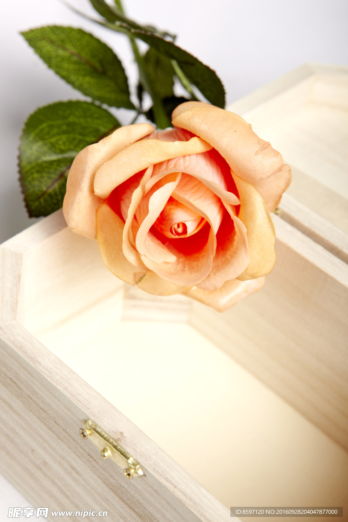 木盒上的香槟玫瑰