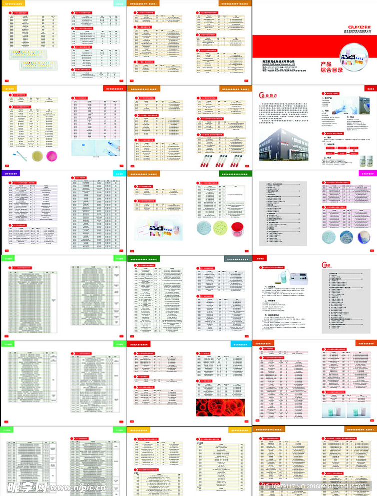 生物科技画册 药品公司画
