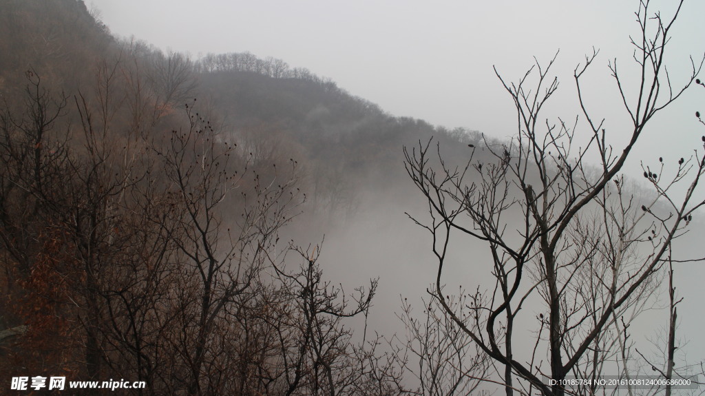 雾中云彩山