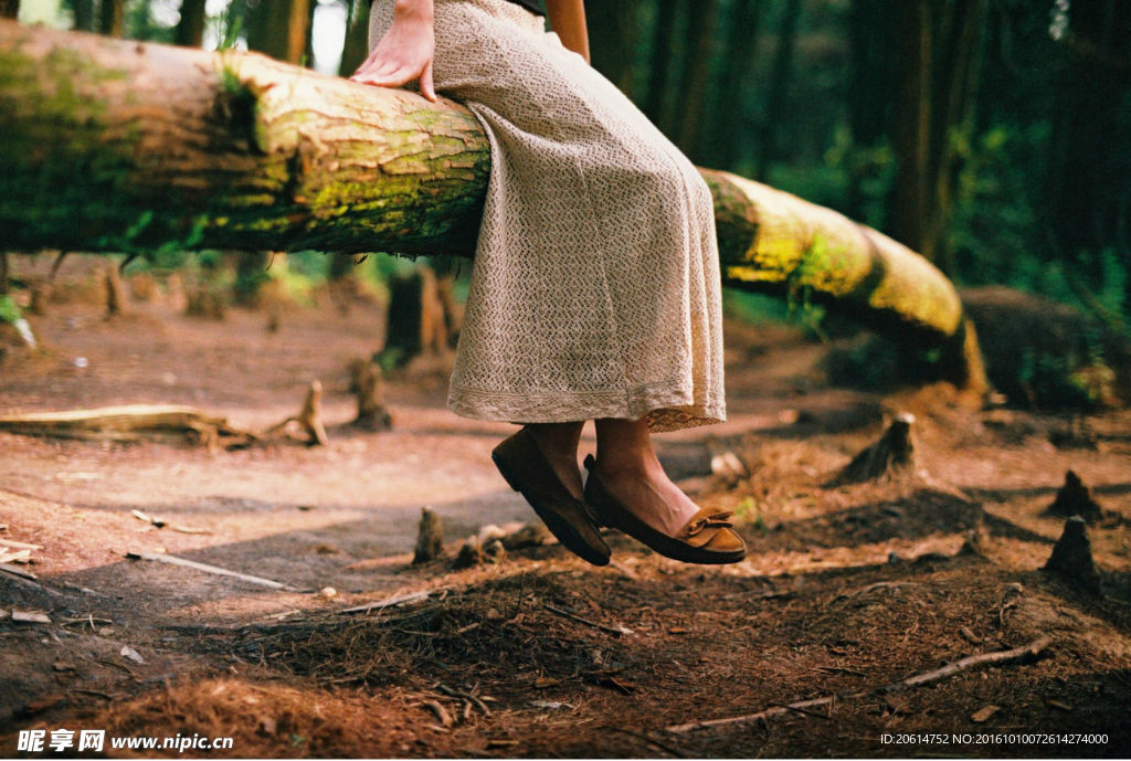 坐在树上的女人