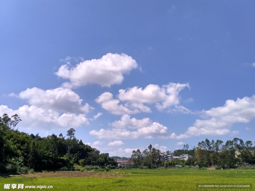 田野上的蓝天白云