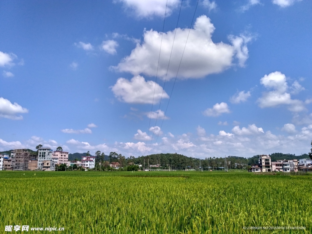 田野上的蓝天白云