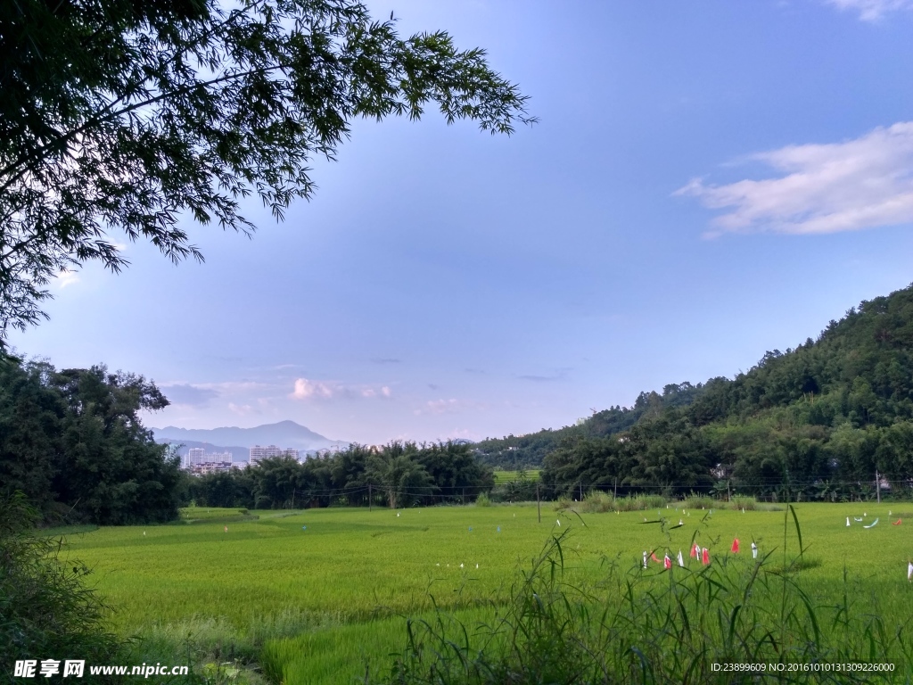 田野上的蓝天白云