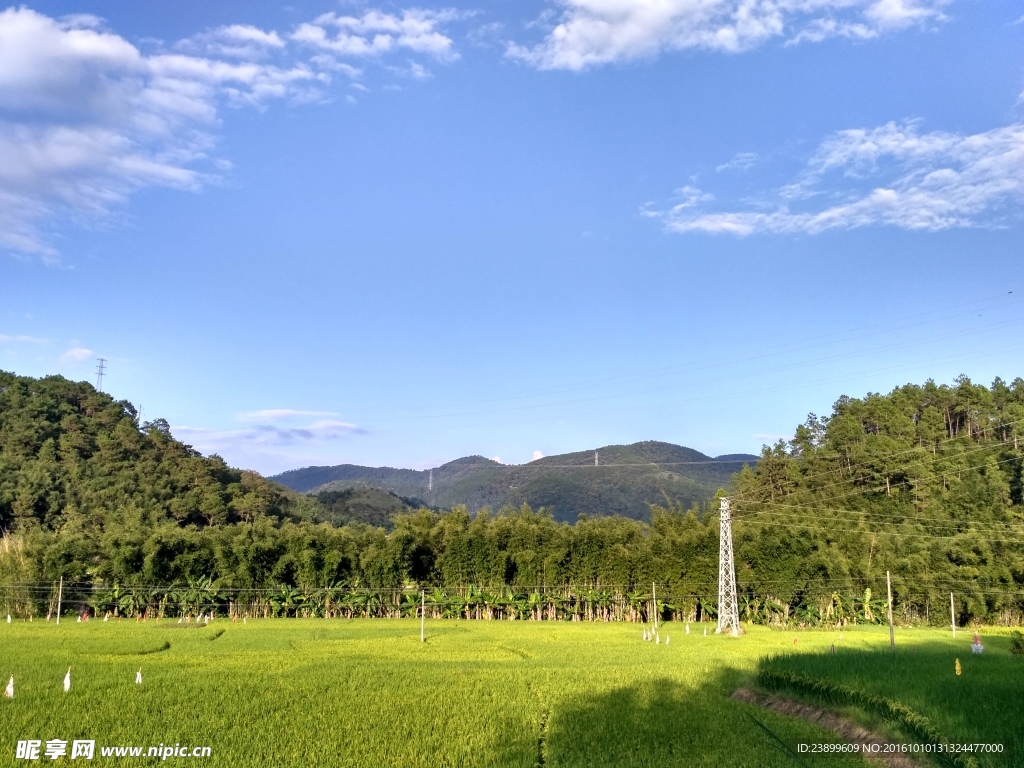 田野上的蓝天白云