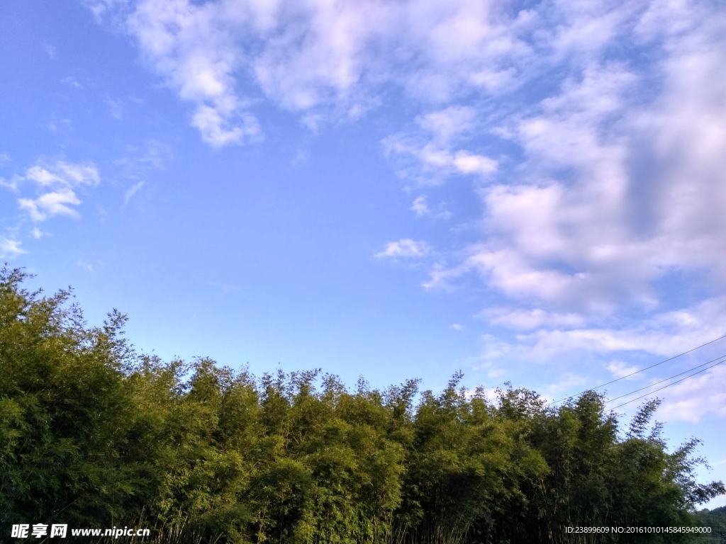 树林上的蓝天白云