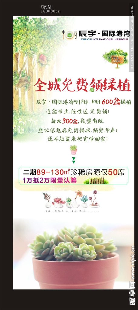 多肉植物领取地产活动展架