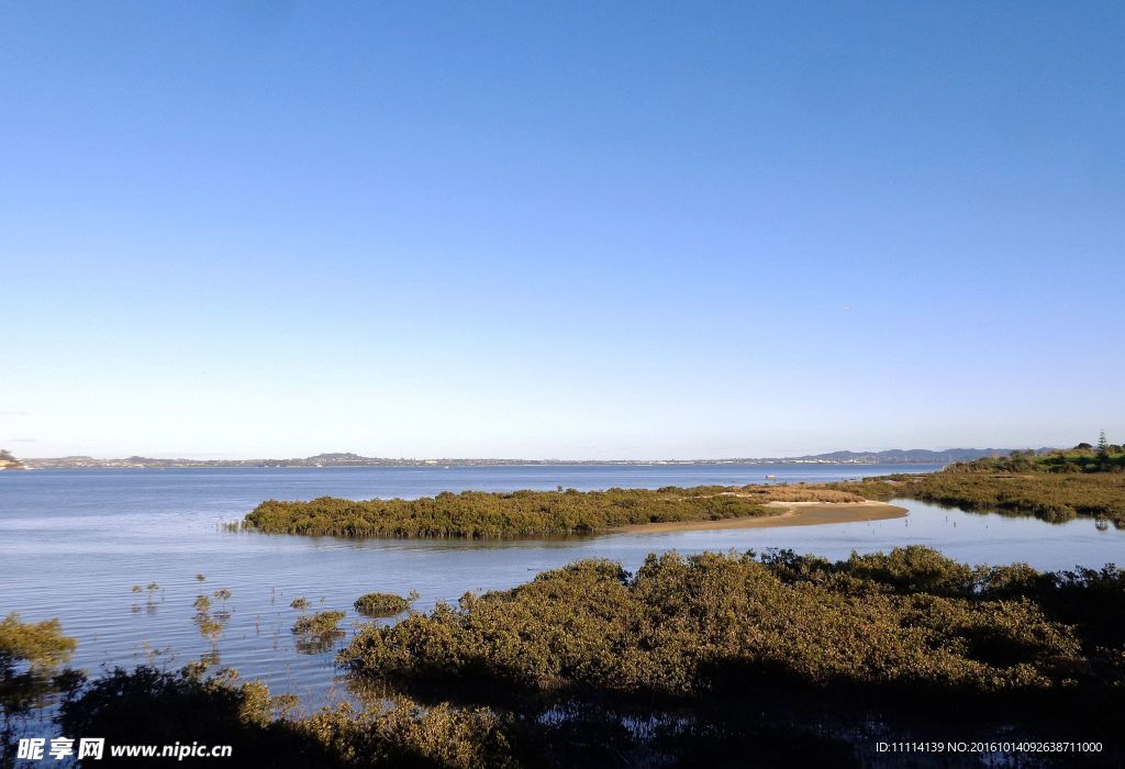 奥克兰海滨自然 风景