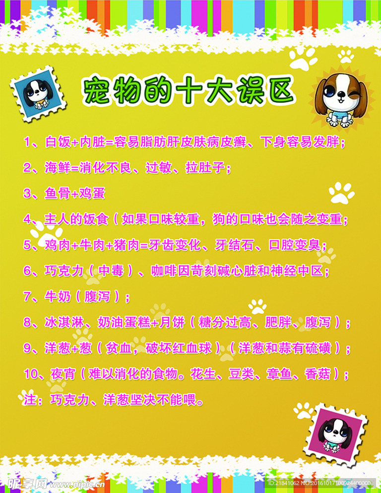 宠物喂养的十大误区