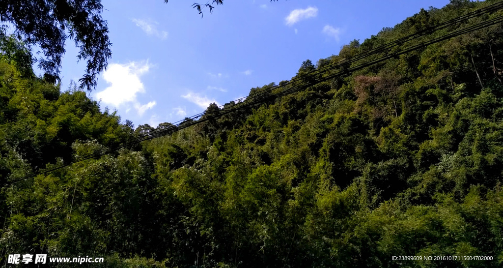 大风吹动的山林 延时摄影