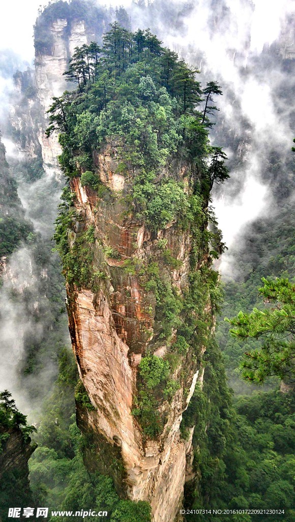 张家界阿凡达景点