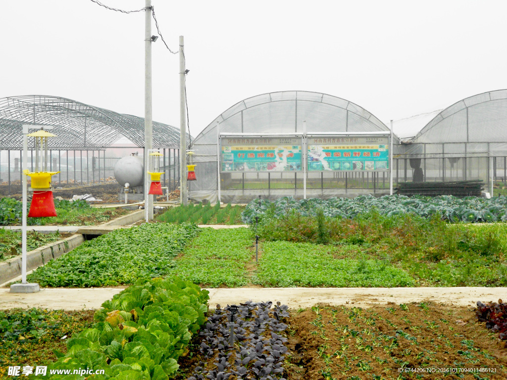 佳多频振式太阳能杀虫灯