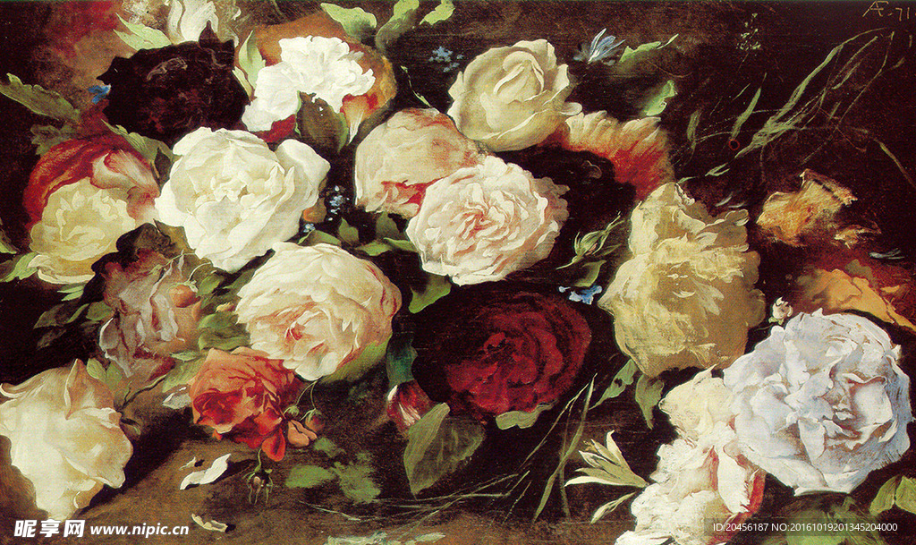 油画玫瑰系列图片（不分层）