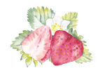 手绘草莓