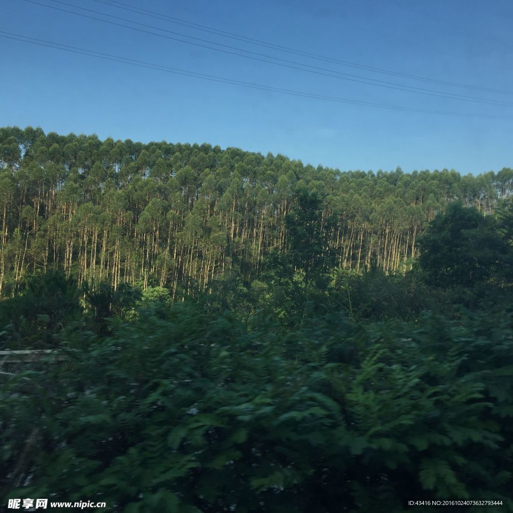 沿途自然风景高清图