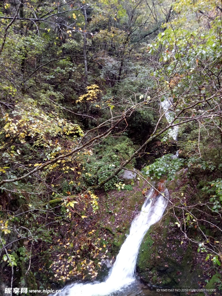 柞水牛背梁山中秋景