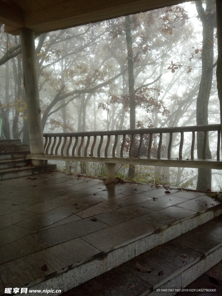 柞水牛背梁山中景观