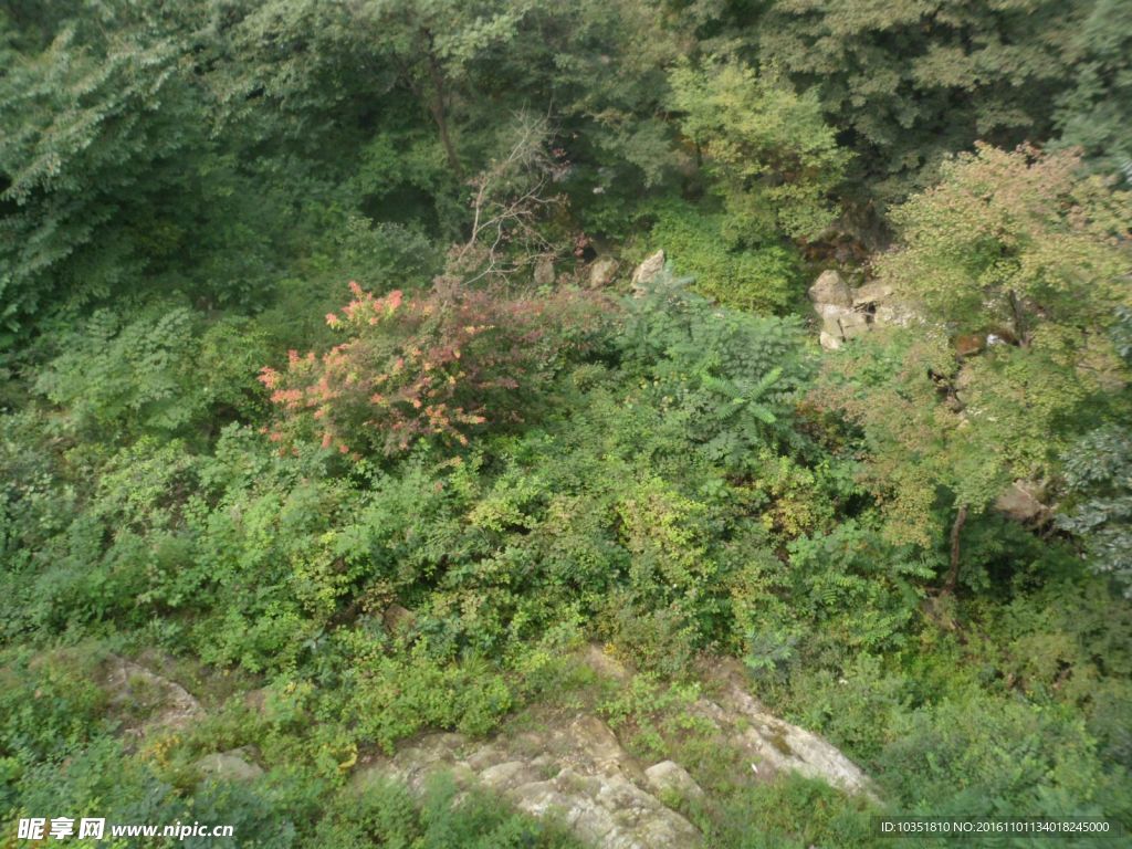 太平峪森林公园