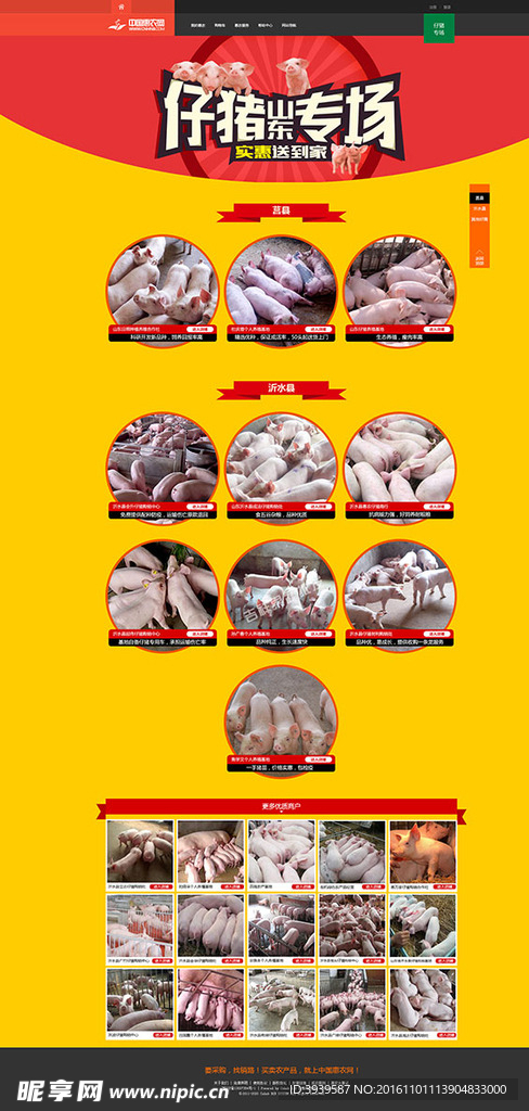 仔猪专场专题