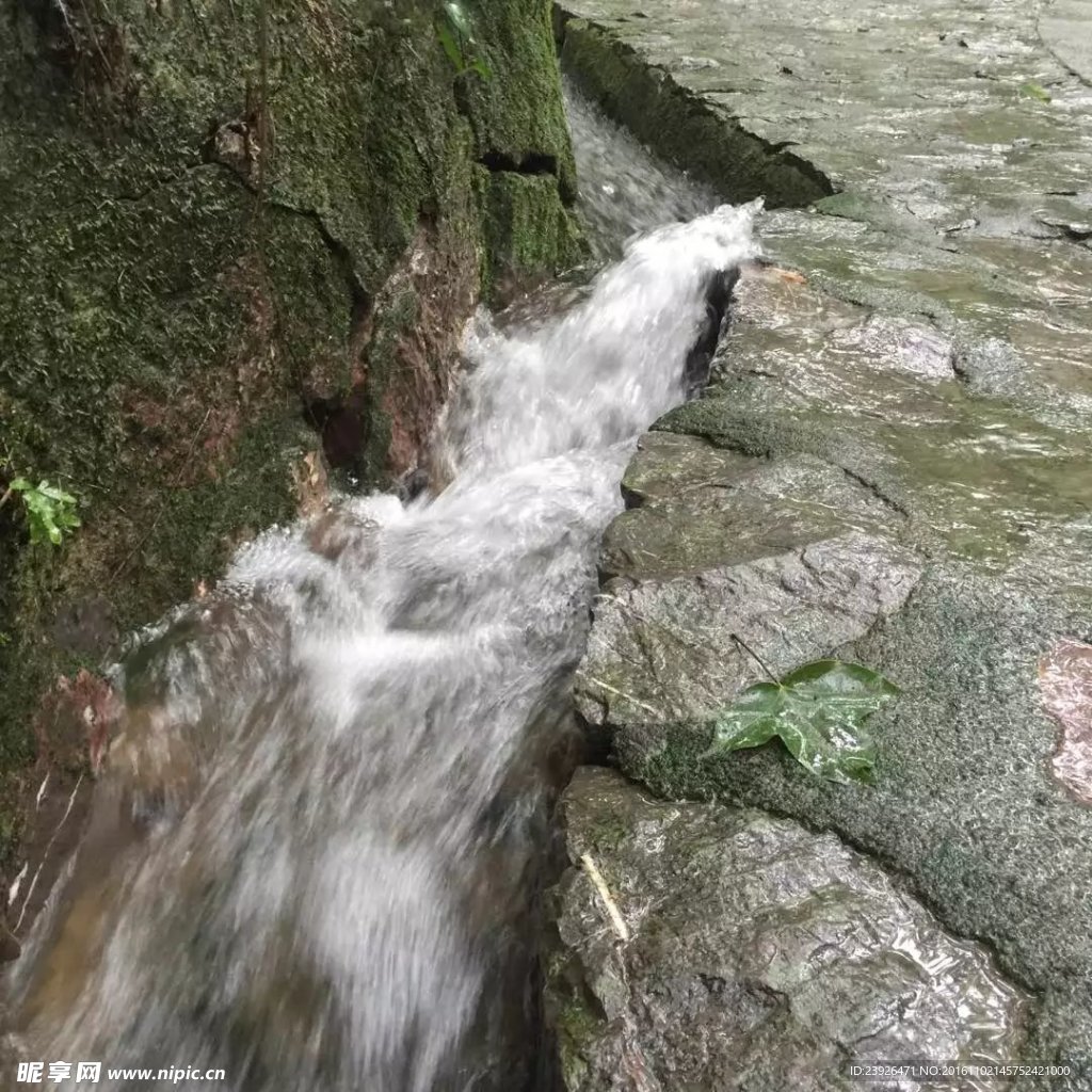 南京钟山风景区