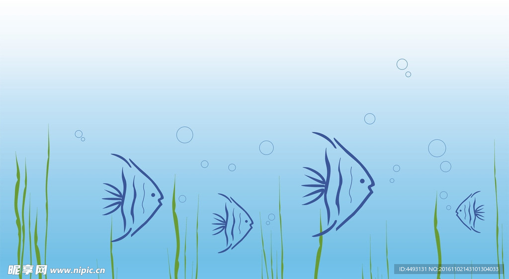 硅藻泥花纹  海洋鱼