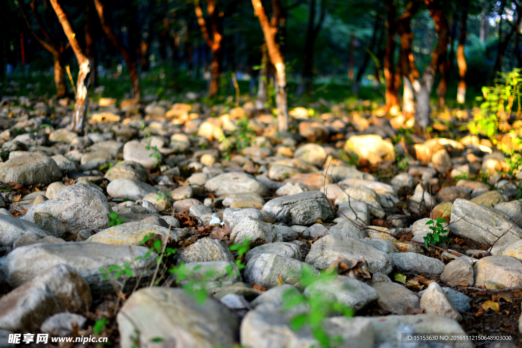 碎石  石块  小石头