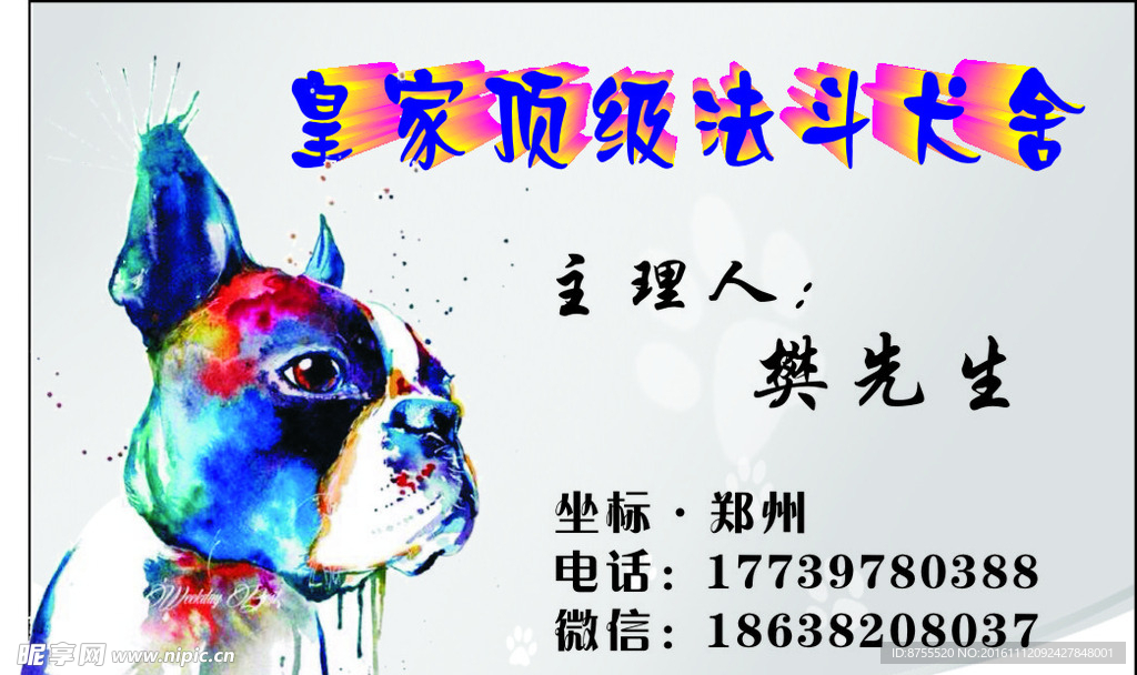 宠物名片 宠物狗 卡片