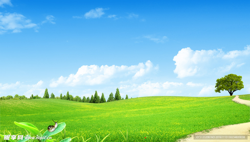 蓝天白云绿草地