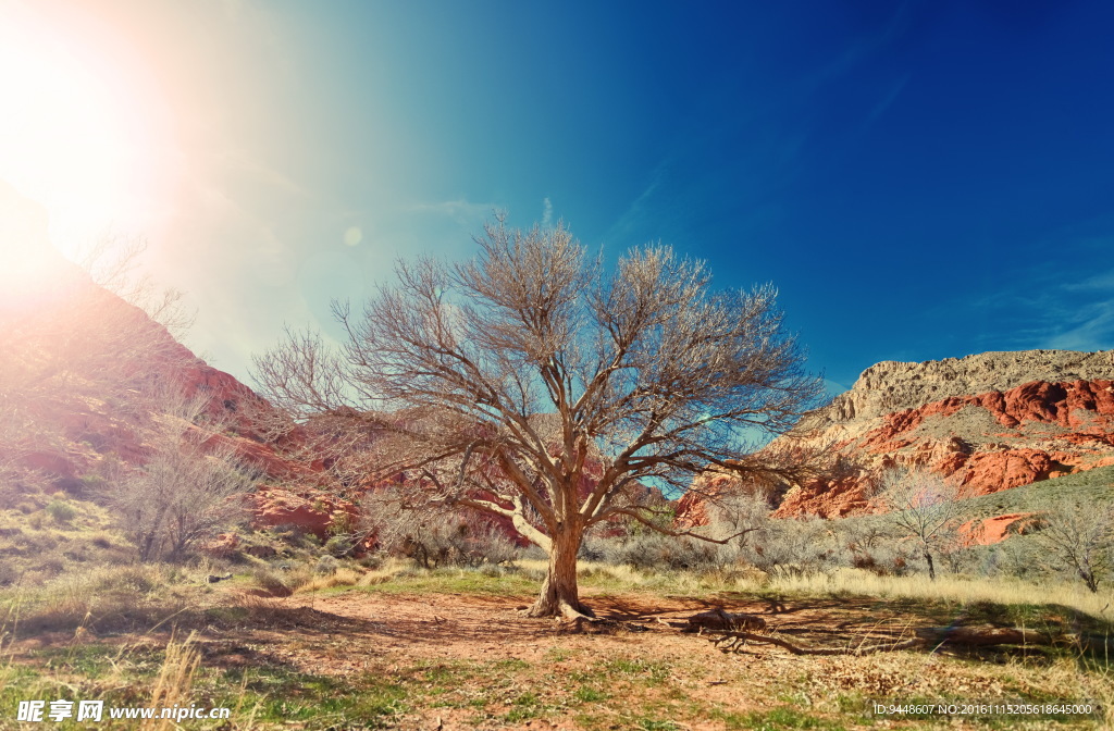 国家自然公园风景图片