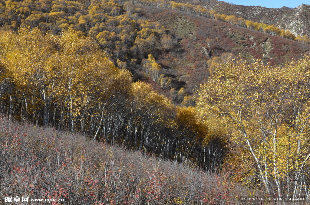 包头固阳马鞍山