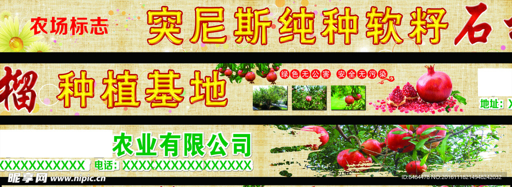 突尼斯软籽石榴