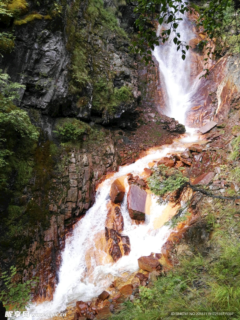 四姑娘山 红河溪谷 图片 风景