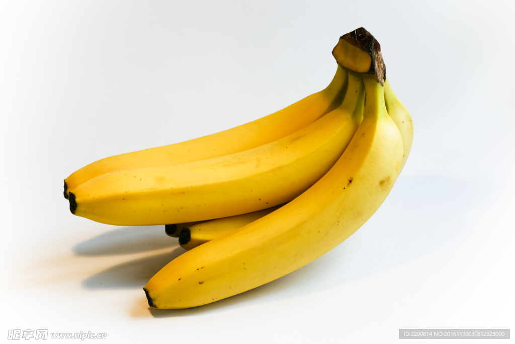 香蕉 水果 香蕉树 生香蕉 新