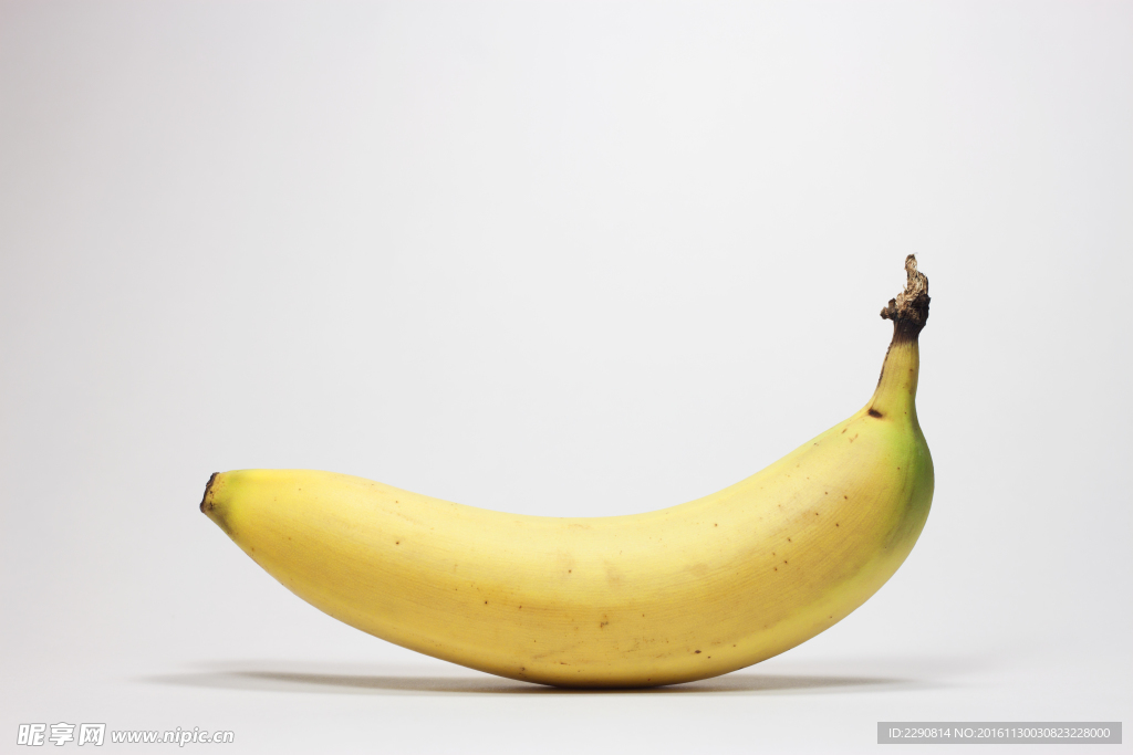 香蕉 水果 香蕉树 生香蕉 新