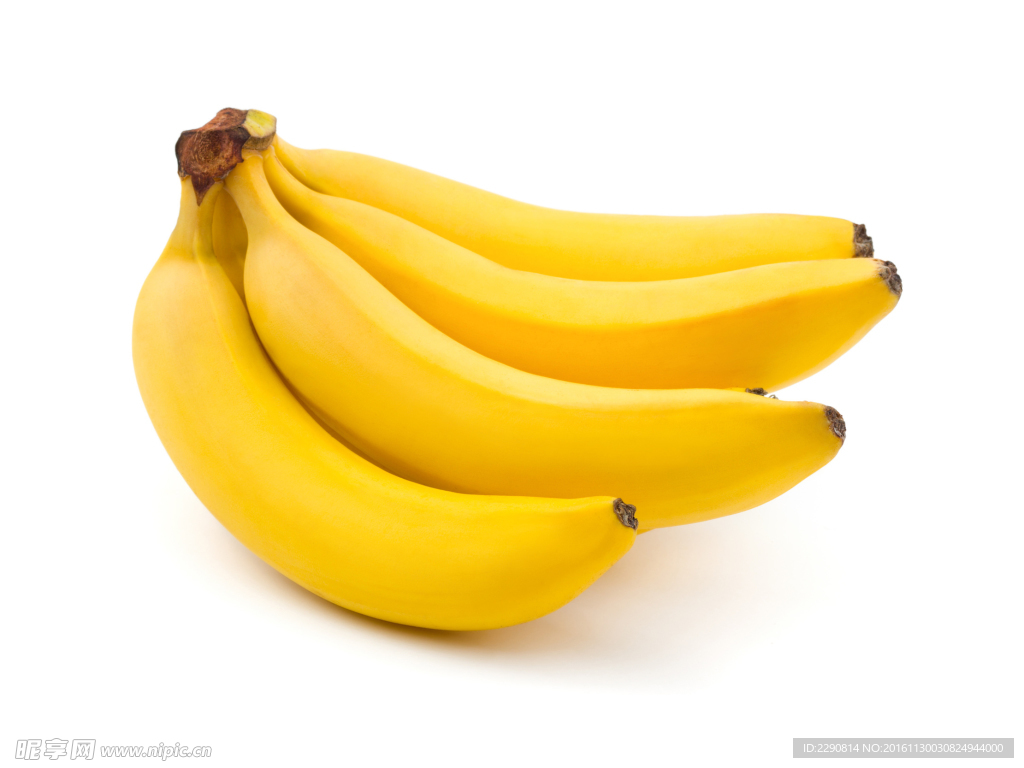 香蕉 水果 香蕉树 生香蕉 新