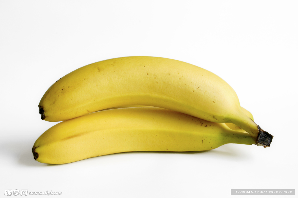 香蕉 水果 香蕉树 生香蕉 新