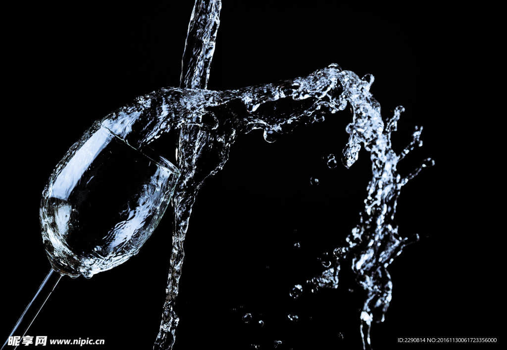 西餐 餐具 高脚杯 摄影 杯子