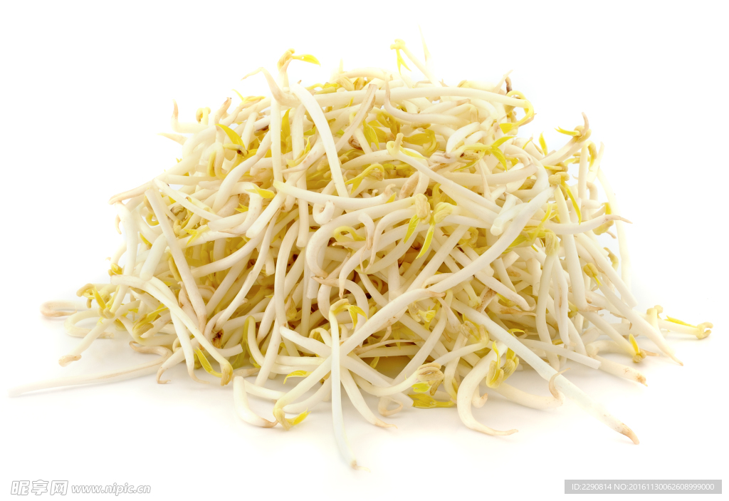 绿豆芽 绿豆苗 豆苗 绿色青菜