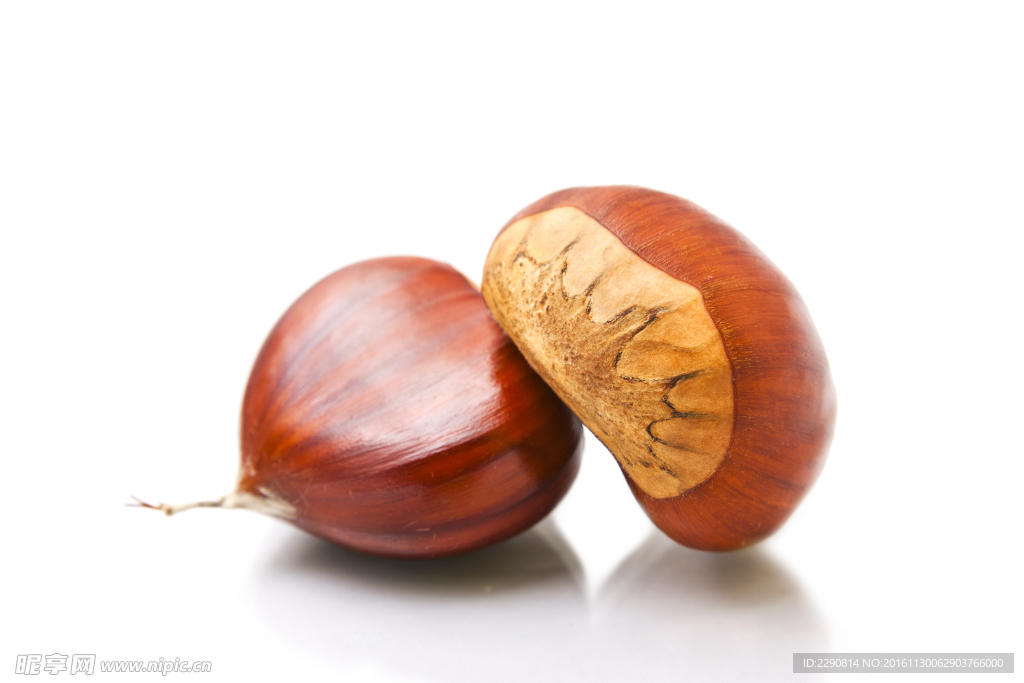 栗子 板栗 干果 坚果 毛栗