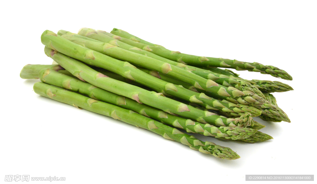 露笋 荻笋 南荻笋 鲜芦笋 青