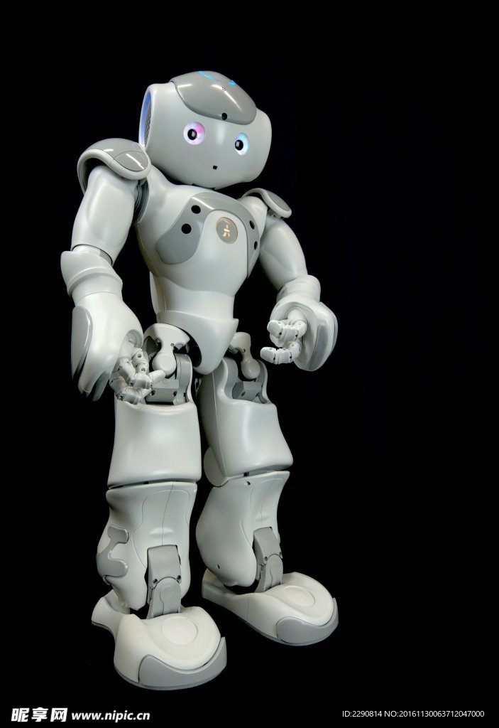 智能机器人 人形机器人 服务机