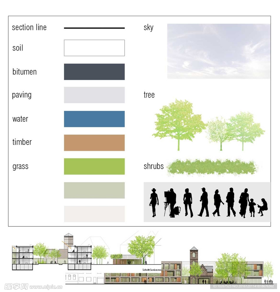 景观树 彩色立面