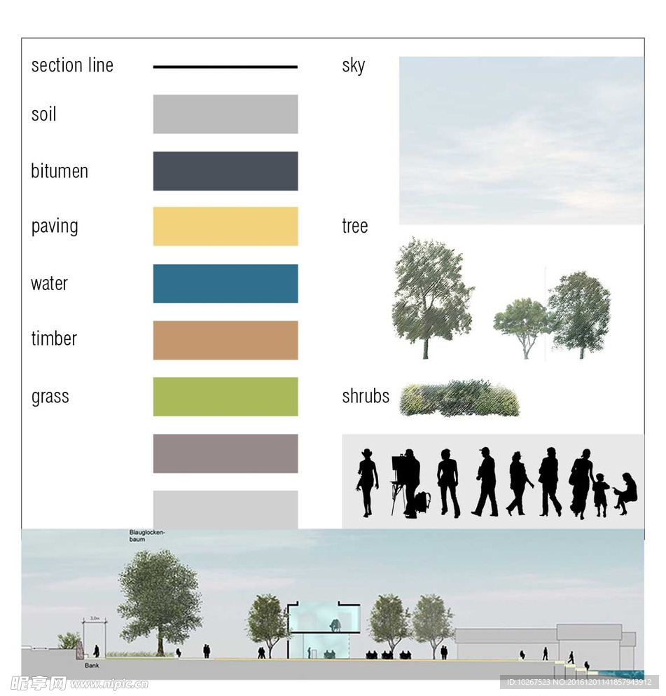 景观树 彩色立面